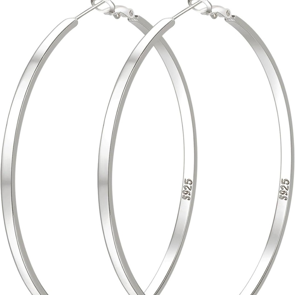 Elegant Silver Hoop Earrings